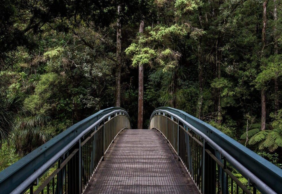 How To Motivate Employees – The Power of Incentives